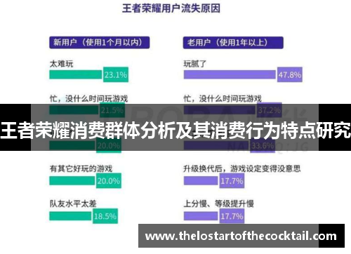 王者荣耀消费群体分析及其消费行为特点研究